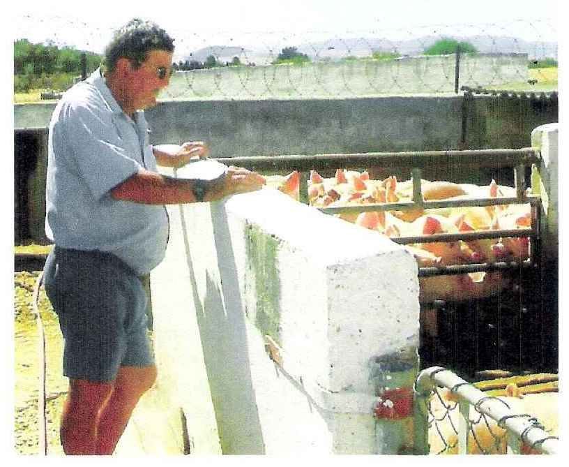 AARDE-VAN-Cornelius-Johannes-Nicolaas-1945-2005-M_99