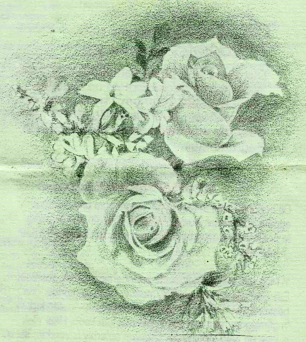 AARDT-VAN-C-E-1922-2000-M_99