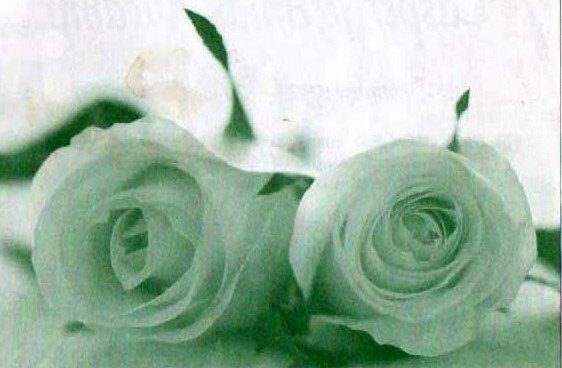 AUCAMP-Casper-Jeremias-1952-2017-M_1