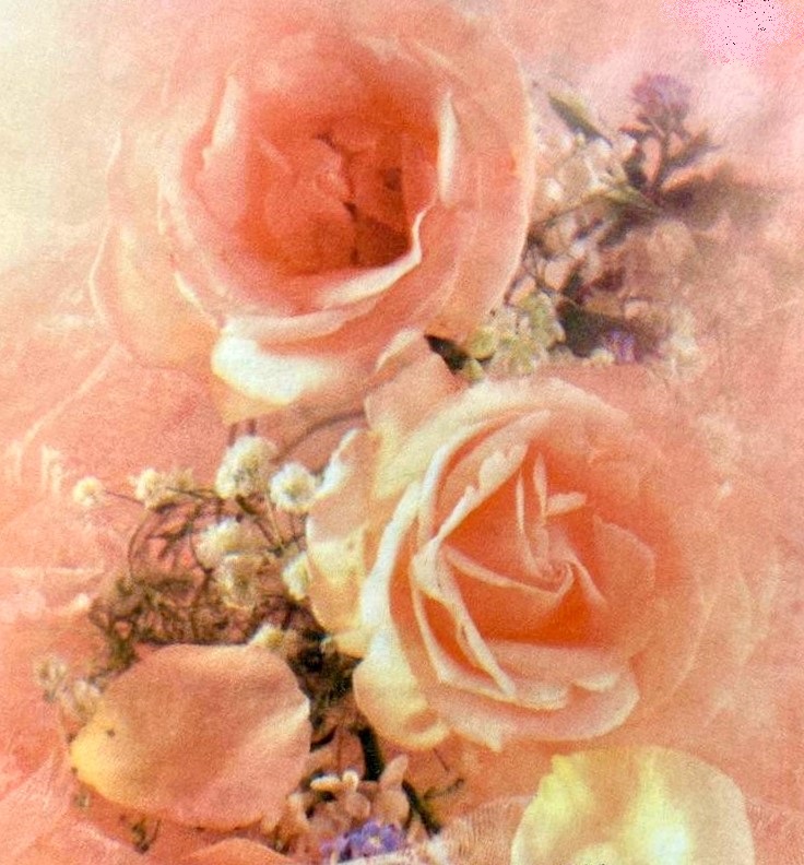 BEKKER-Anna-Sophia-nee-Potgieter-1915-2008-F_99