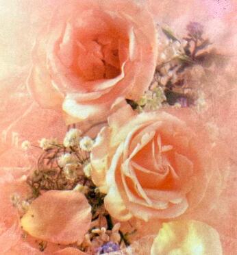 BEKKER-Anna-Sophia-nee-Potgieter-1915-2008-F_99