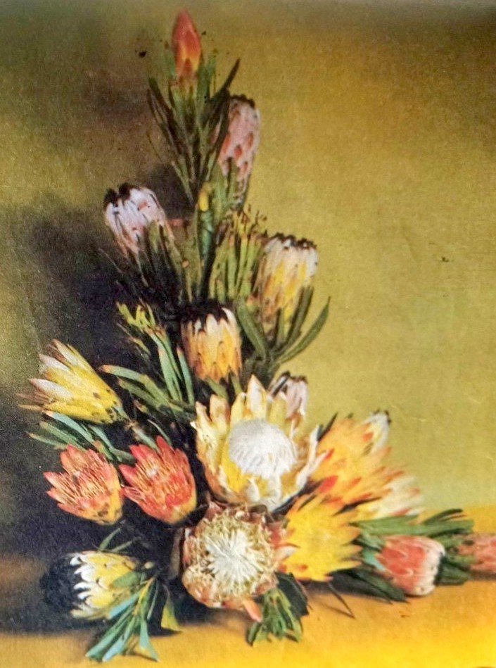 BILJON-VAN-Susanna-Johanna-nee-Nel-1893-1980-F_101