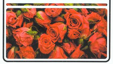 BOOYENS-Gertina-Jacoba-Nn-Gertjie-1943-2021-F_05