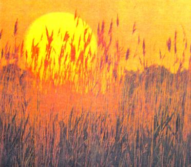 BOTHA-Cornelius-Johannes-Nn-Tiny-1933-1997-M