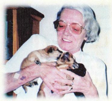 CAMPION-Surnames-Vanne