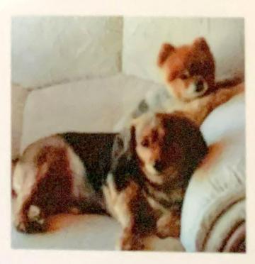 DASSONVILLE-Naas-1946-2022-M_88