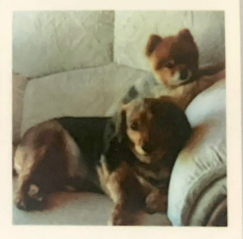 DASSONVILLE-Naas-1946-2022-M_99