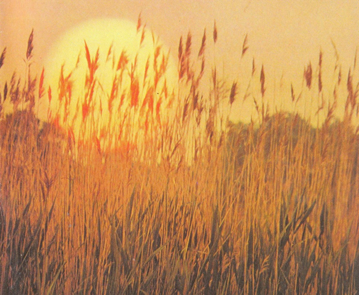 DYK-VAN-Herbert-George-1923-1989-M_02