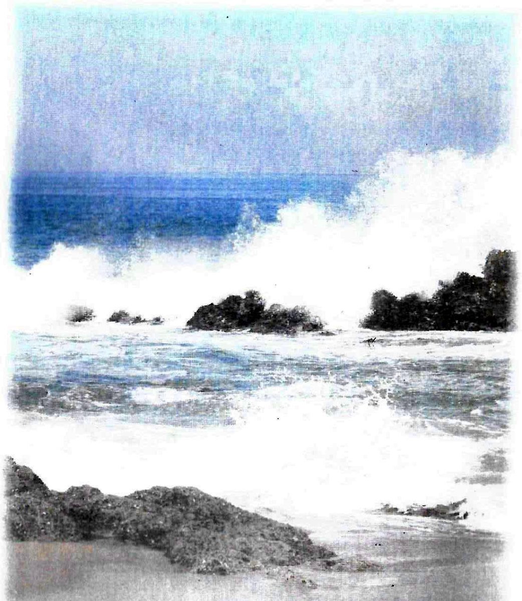 ERASMUS-Hannes-1933-2016-M_4