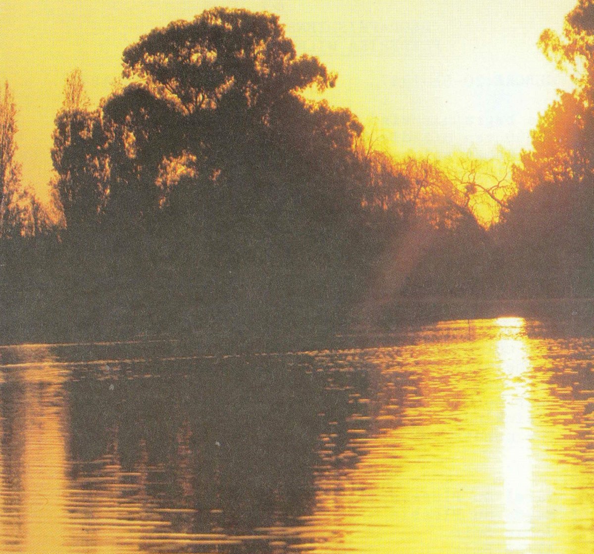 EVERT-Frederika-Wilhelmina-1937-1995-F_01