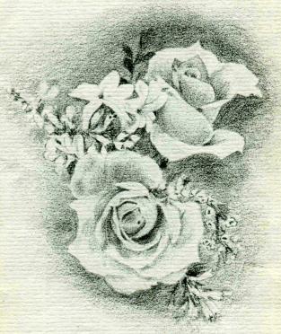 FOURIE-Celeste-1993-1993-F
