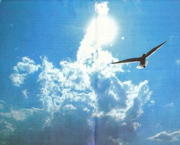 FOURIE-Hermanus-Nicolaas-Nn-Herman-1929-1992-M