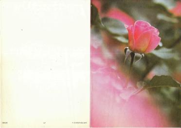 FOURIE-Johanna-Elizabeth-Francina-1900-1992-F-01