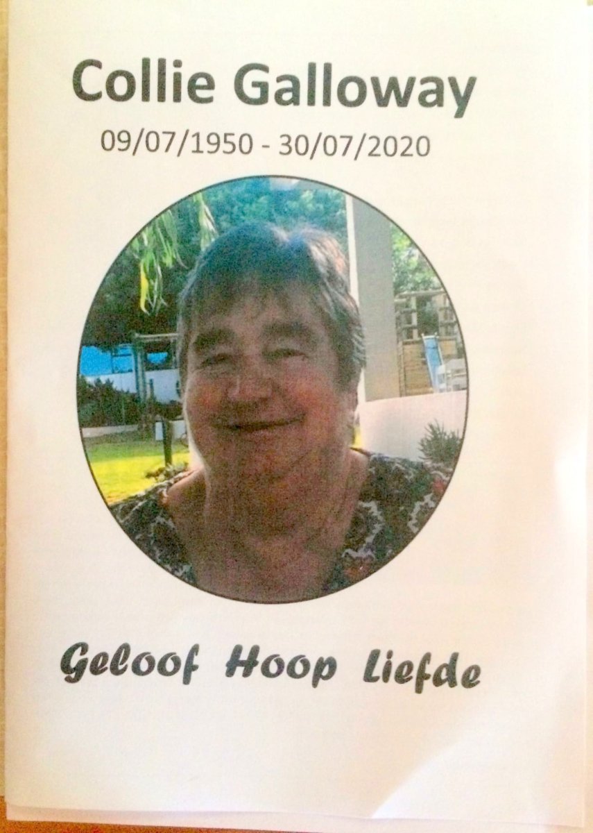 GALLOWAY-Collie-nee-Kleinhans-1950-2020-F_99