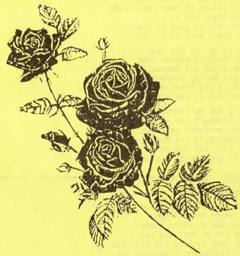 HENNING-Casper-Jan-Hendrik-1942-1993-M