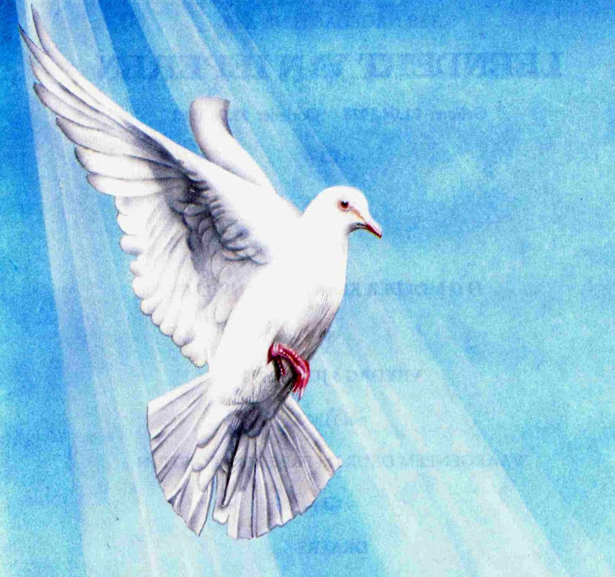 IEPEREN-VAN-Leendert-1928-1998-M_1