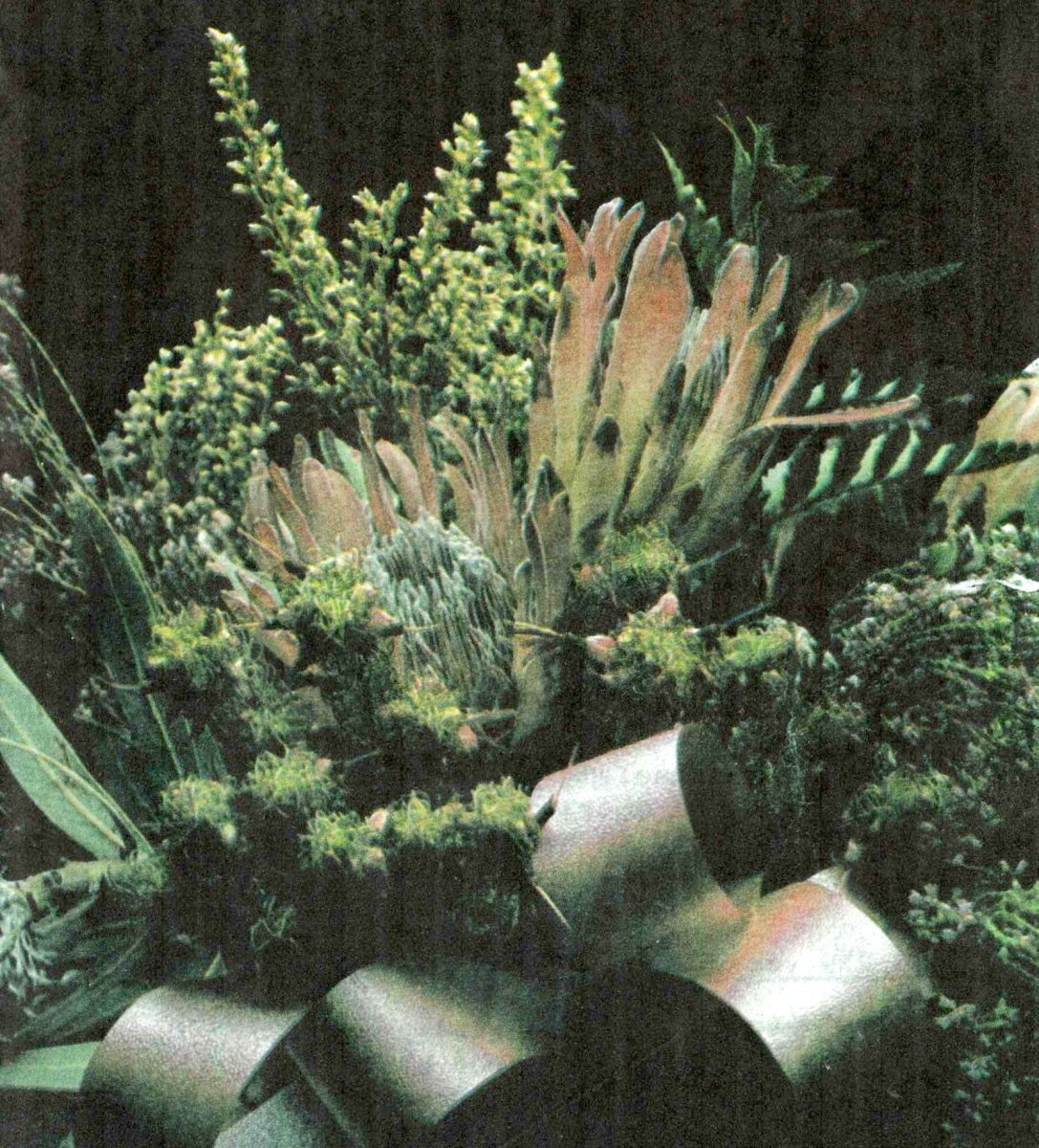 MALHERBE-Elizabeth-Margaret-Downing-née-Beukes-1907-1984-F_1