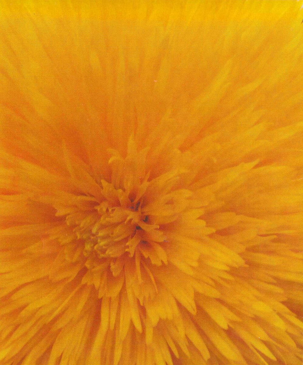 MARAIS-Reynier-VanDerWatt-1933-2023-M_03