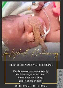 MERWE-VAN-DER-Hilgard-Johannes-2025-2025-M-01