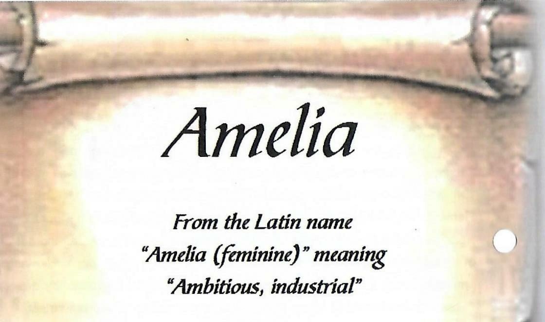 NEL-Amelia-Jacoba-Nn-Amelia-1940-2016-F_98