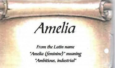 NEL-Amelia-Jacoba-Nn-Amelia-1940-2016-F_98