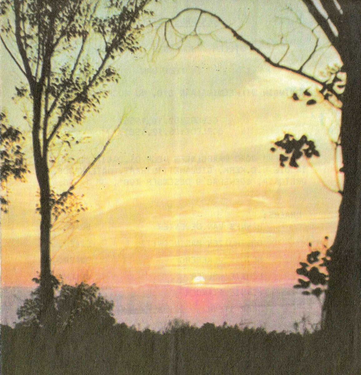 PIENAAR-Willem-Johannes-1955-1981-M_01