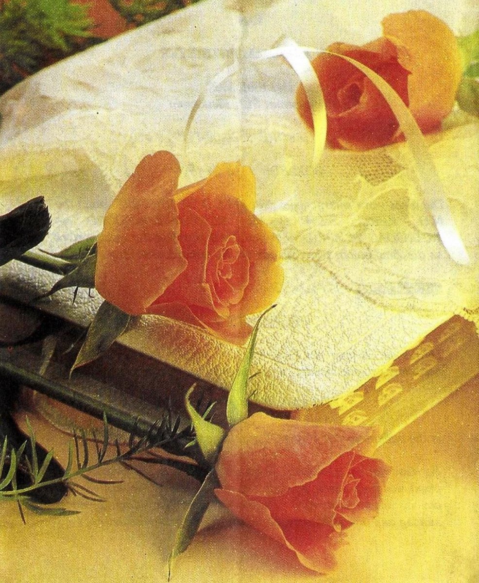 POTGIETER-Jan-Abraham-1919-1996-M_01