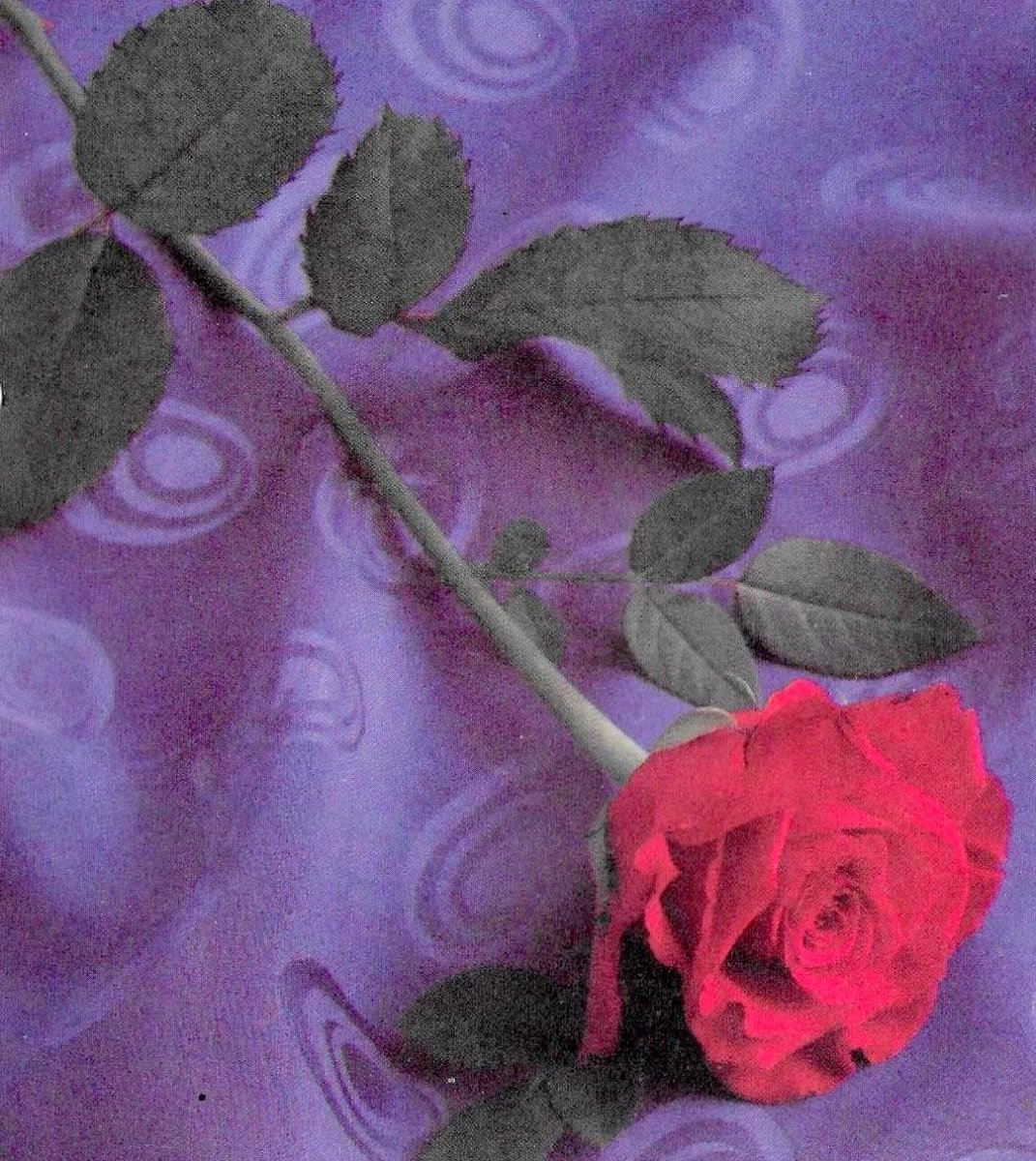 POTGIETER-Sophia-Magrietha-Magdalena-Nn-Deline-1941-2005-F_02