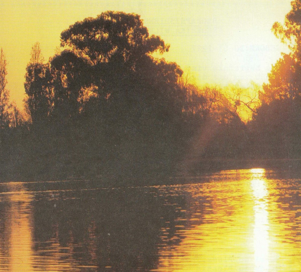 ROUX-Daniel-Jacobus-UnkDate-Unkdate-M_01