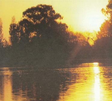 ROUX-Daniel-Jacobus-UnkDate-Unkdate-M_01