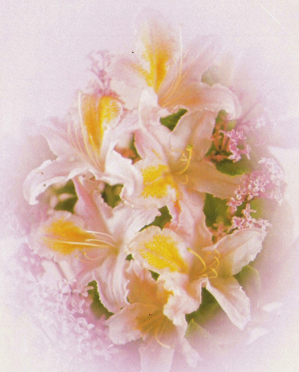 SHARP-Eliza-Lucy-1937-1991-F_01