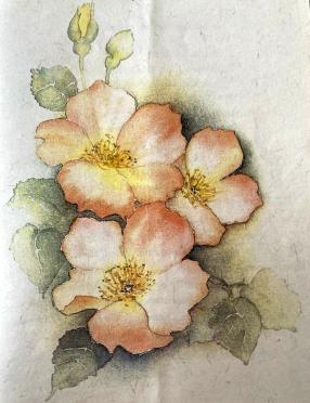 SLABBER-Elsie-Pauline-Nn-Elsie.Babe-1917-2000-F