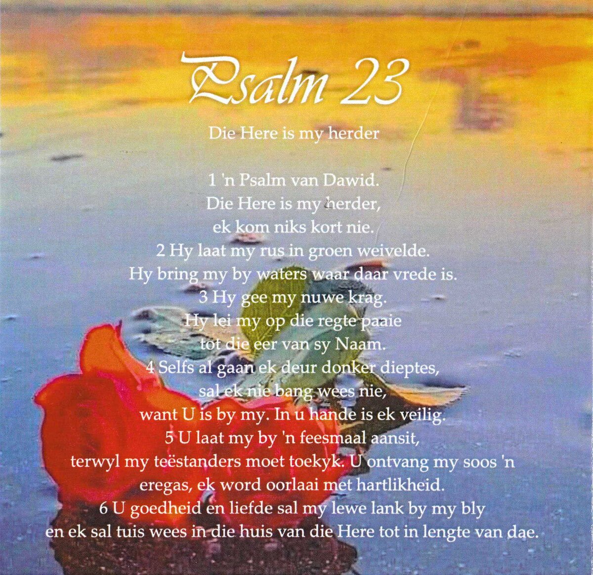 SMITH-Erasmus-Nn-Rassie-1946-2023-M_04