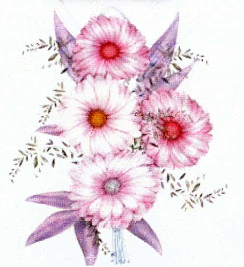 STEENKAMP-Elizabeth-Susanna-Nn-Bettie-1942-2023-F_04