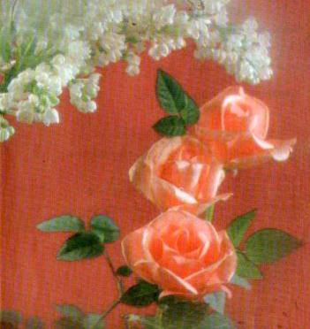 STEYN-Anna-Magdalena-1935-2000-F