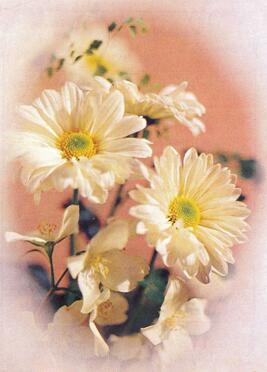 Unk.Surname-Elizabeth-1930-2000-F_99