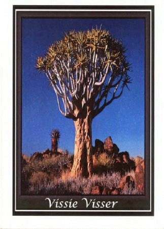 VISSER-Hendrik-Louwrens-Nn-Vissie-1937-2010-M_1