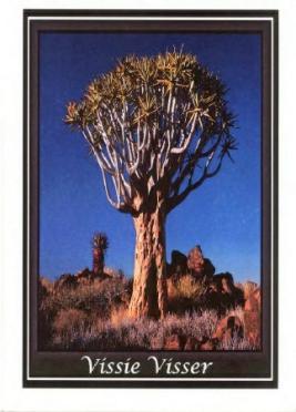 VISSER-Hendrik-Louwrens-Nn-Vissie-1937-2010-GGSA.NoordWesVersameling-M