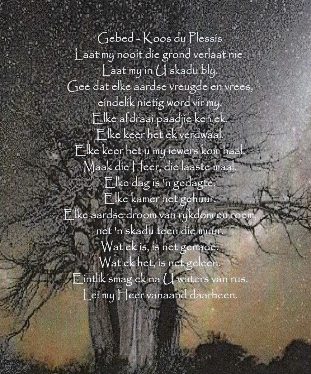 WALT-VAN-DER-Carel-Sebastiaan-VanHeerden-Nn-Stiaan-1998-2015-M-WALT-VAN-DER-Cornelius-Gerhardus-Coetzee-Nn-Coetzee-2005-2015-M_91