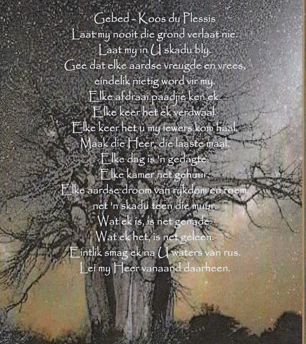 WALT-VAN-DER-Carel-Sebastiaan-VanHeerden-Nn-Stiaan-1998-2015-M_92