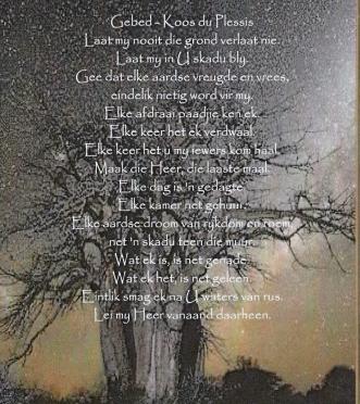 WALT-VAN-DER-Carel-Sebastiaan-VanHeerden-Nn-Stiaan-1998-2015-M_92