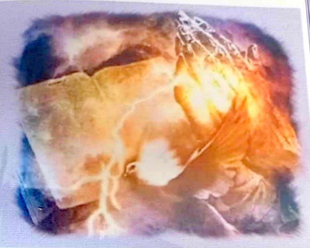 WALT-VAN-DER-Fredricka-Stoffina-Nn-Lilly-1956-2015-F_99