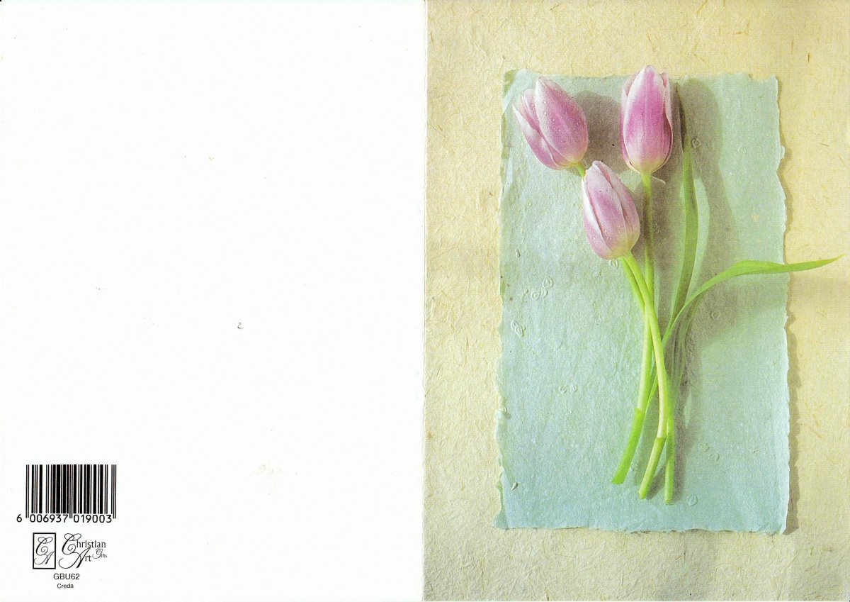 WALT-VAN-DER-Theunetta-Johanna-Nn-Theunetta-1945-2002-F-01