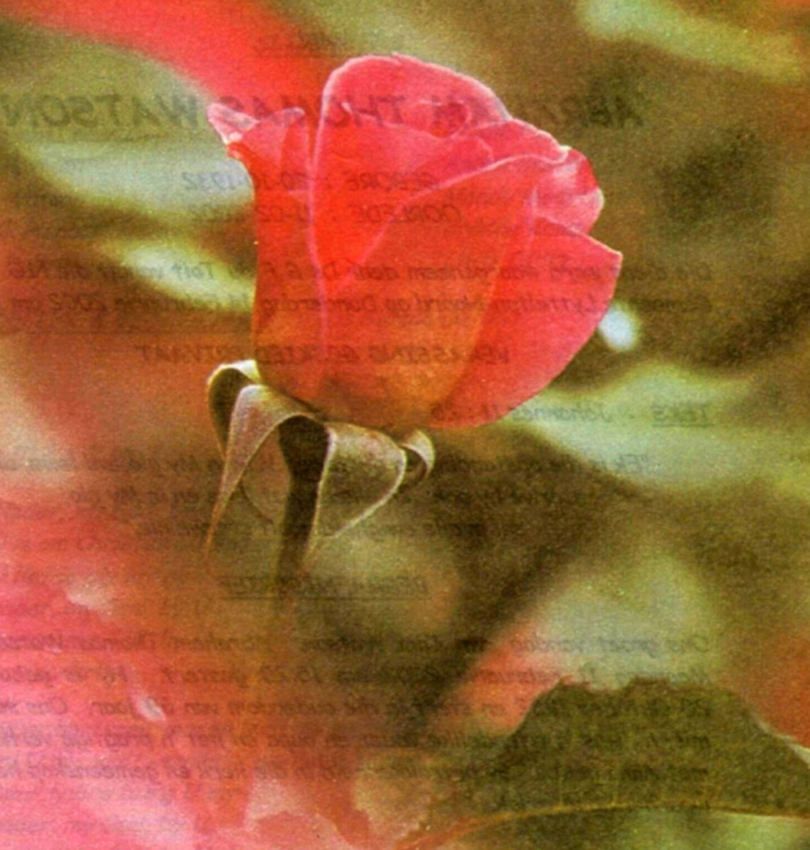 WATSON-Abraham-Thomas-Nn-Tom-1932-2002-M_1