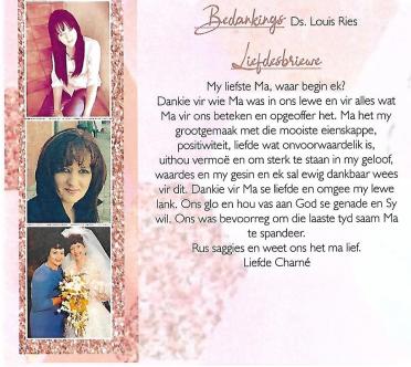 WENTZEL-Zeldene-1968-2023-F_3