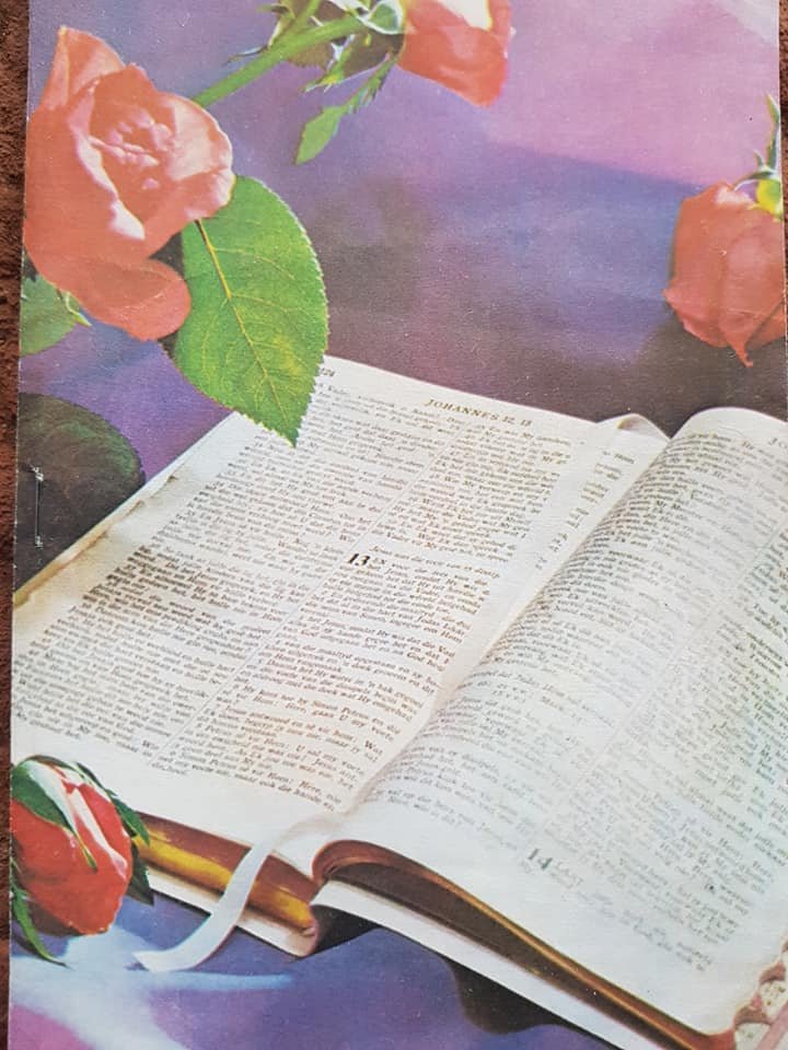 WYK-VAN-Susara-Cornelia-nee-Erasmus-1888-1979-F_1