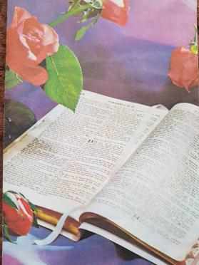 WYK-VAN-Susara-Cornelia-nee-Erasmus-1888-1979-F