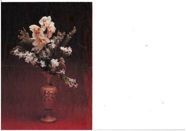 ZEISS-Linda-Lourette-Nn-Linda-nee-Nienaber-1955-1985-F-1