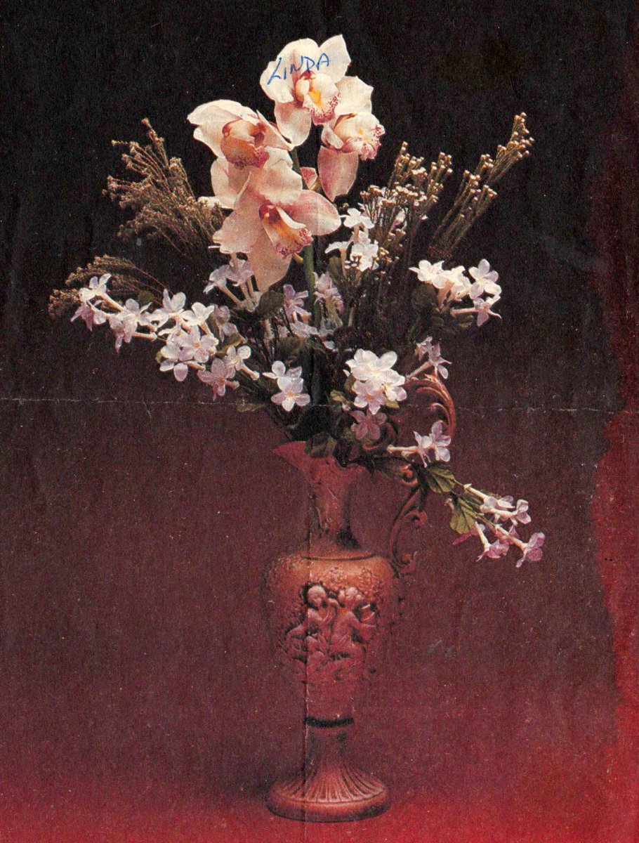 ZEISS-Linda-Lourette-Nn-Linda-nee-Nienaber-1955-1985-F_1