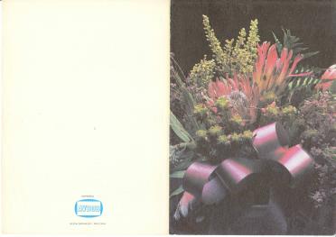 ZYL-VAN-Natalie-1983-1983-F-01